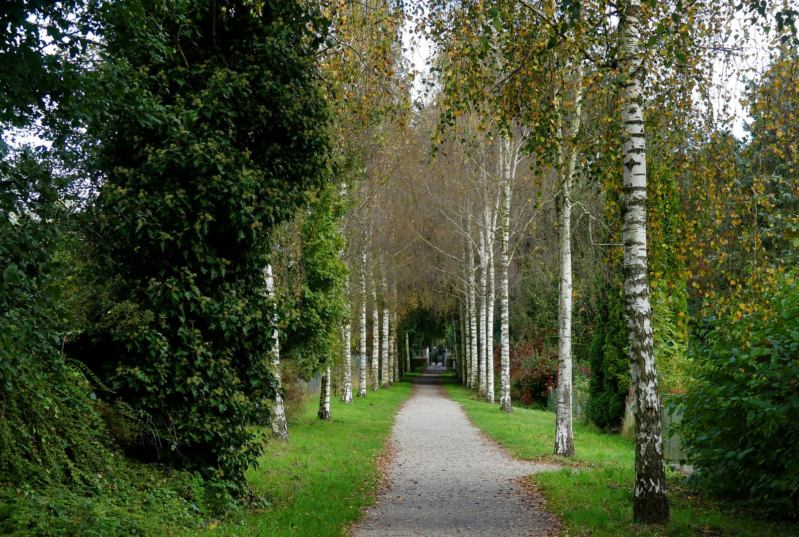 Herbstspaziergang 