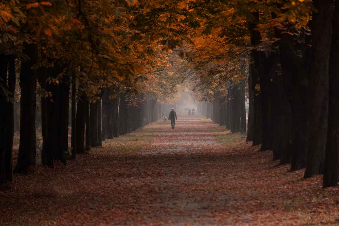 Herbstspaziergang