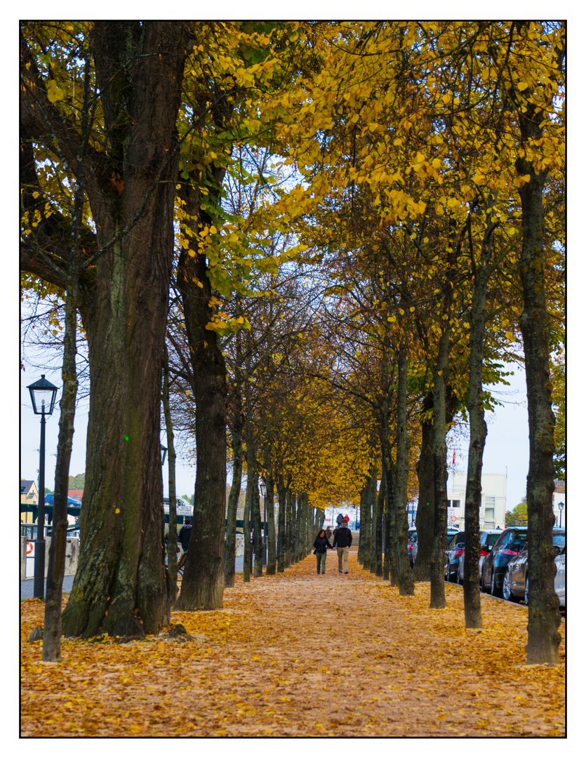 Herbstspaziergang