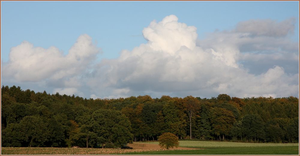 Herbstspaziergang