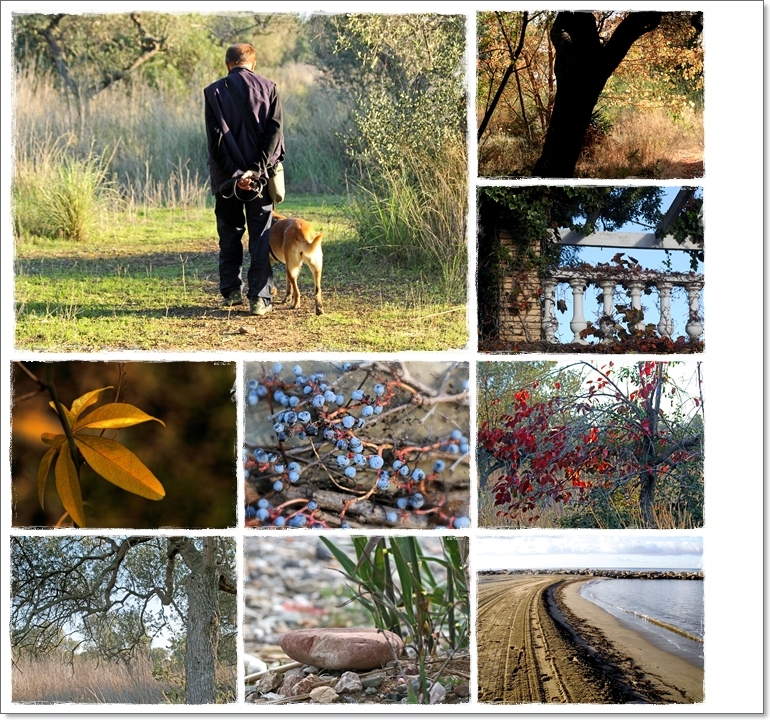 Herbstspaziergang