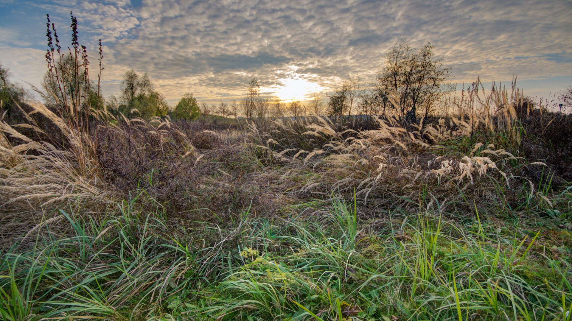 Herbstspaziergang