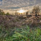 Herbstspaziergang