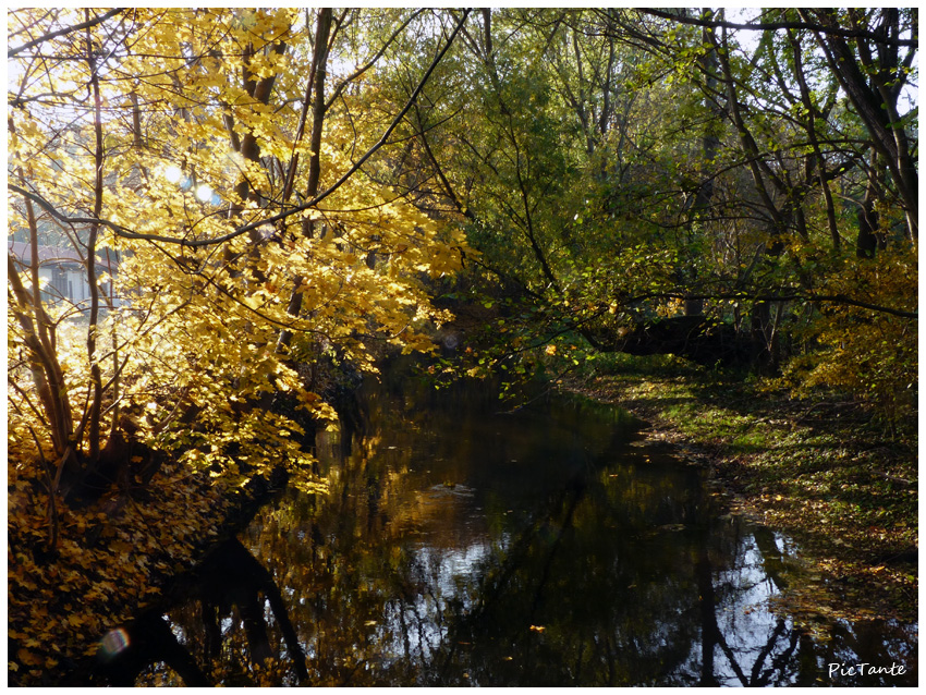 Herbstspaziergang