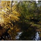 Herbstspaziergang