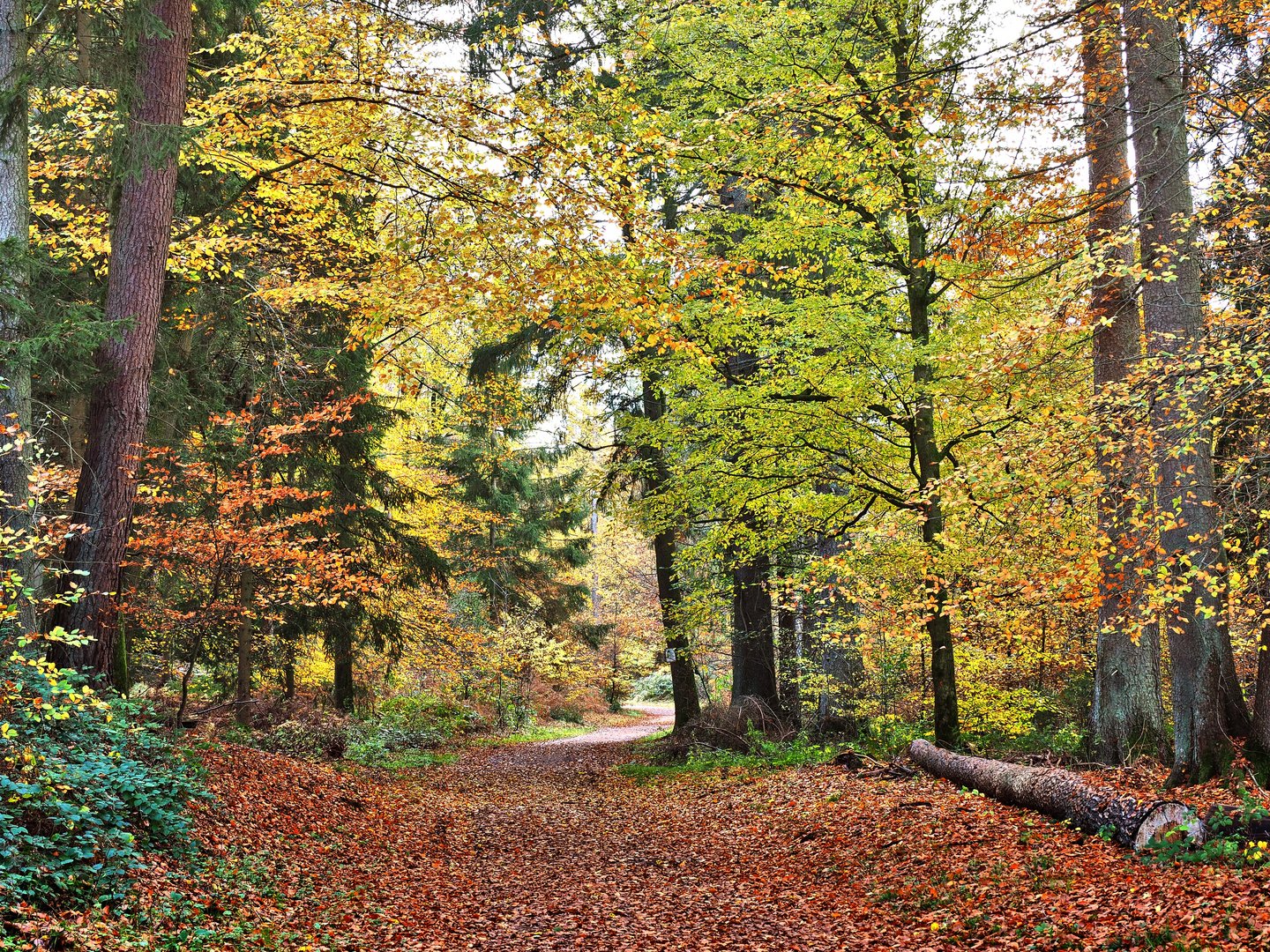 ..Herbstspaziergang 