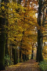 Herbstspaziergang