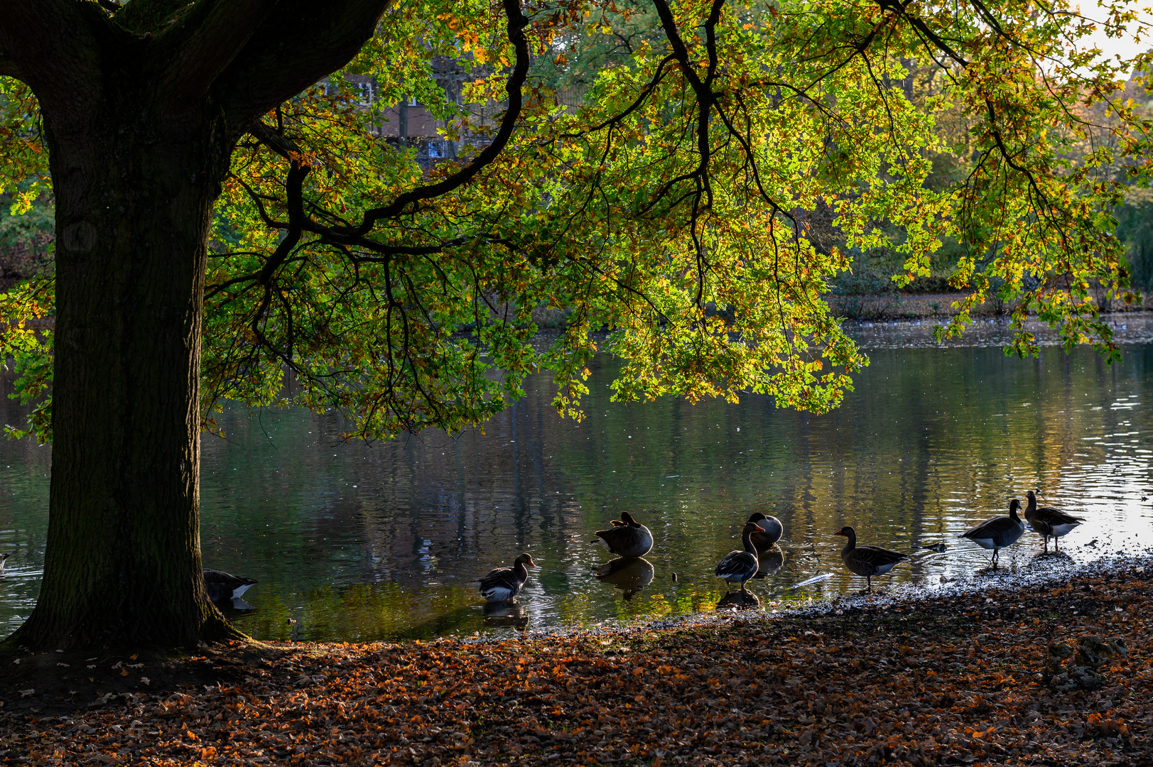 Herbstspaziergang 