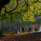 Herbstspaziergang 