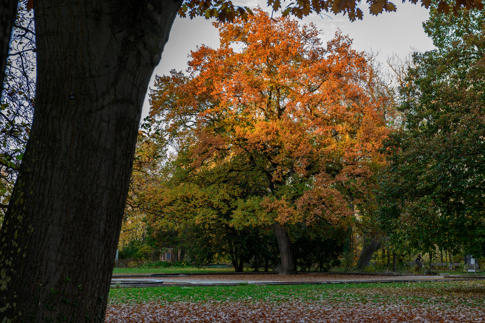 Herbstspaziergang 