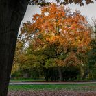 Herbstspaziergang 