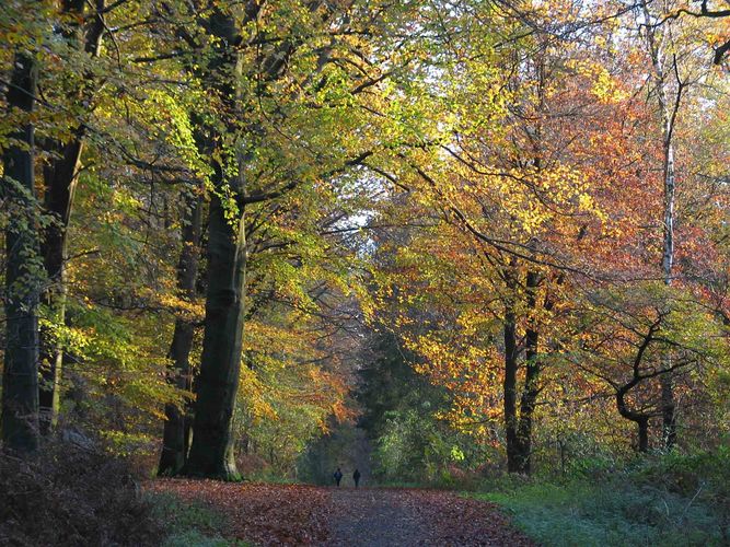 Herbstspaziergang