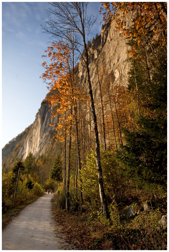 Herbstspaziergang