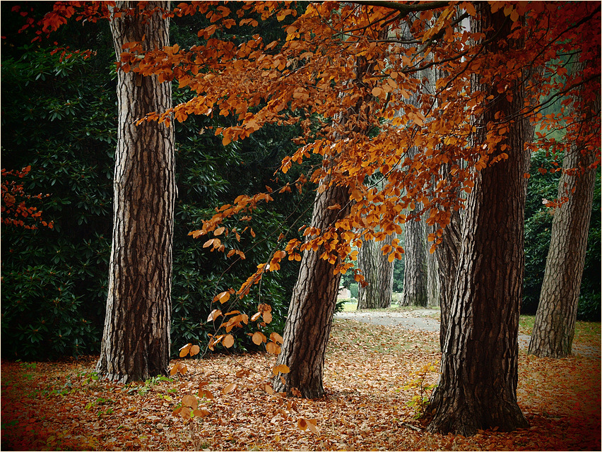 Herbstspaziergang