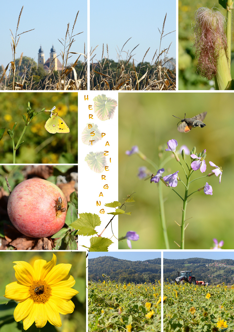 Herbstspaziergang