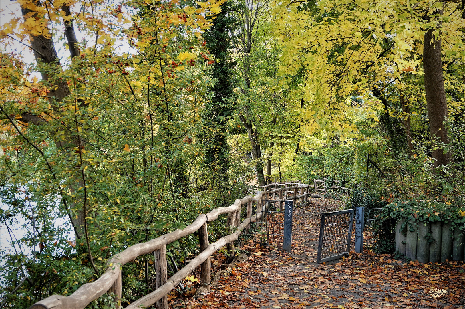 Herbstspaziergang