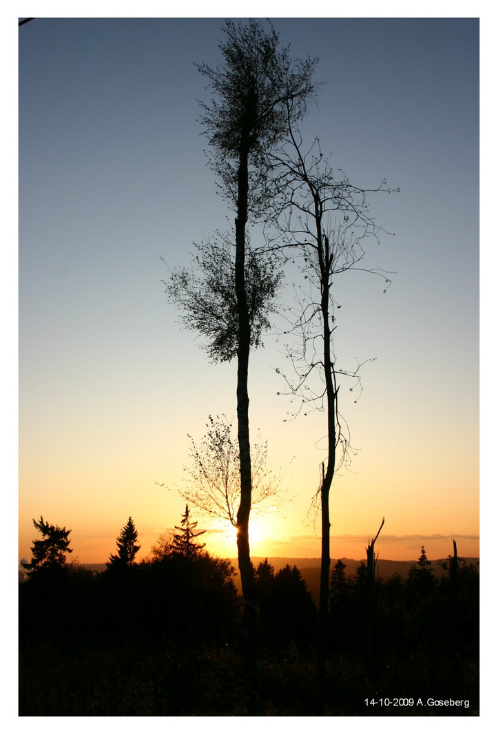 Herbstspaziergang