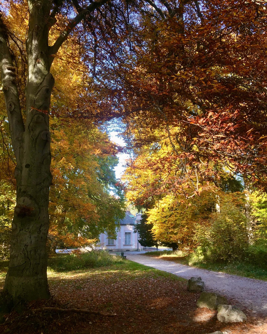 Herbstspaziergang 