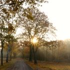 Herbstspaziergang