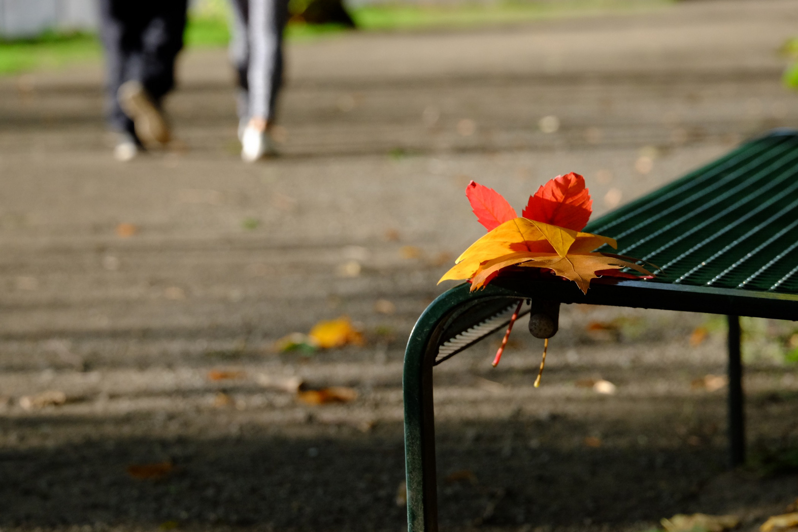 Herbstspaziergang