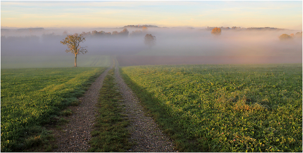 Herbstspaziergang ...