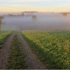 Herbstspaziergang ...