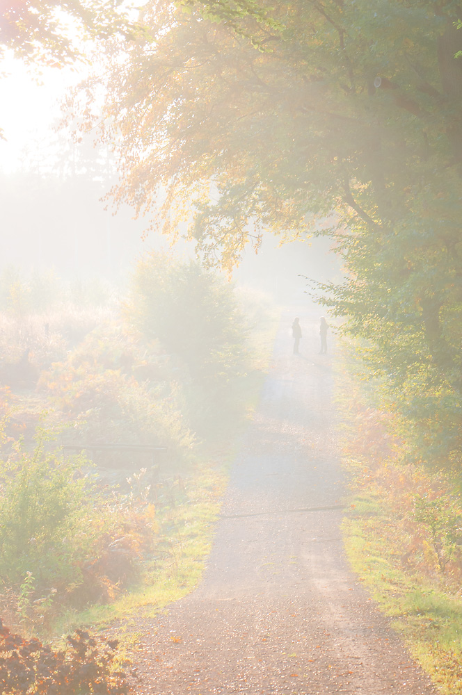 Herbstspaziergang