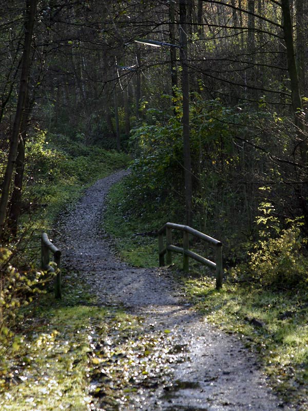 Herbstspaziergang