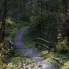 Herbstspaziergang