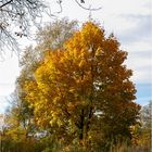 Herbstspaziergang ...