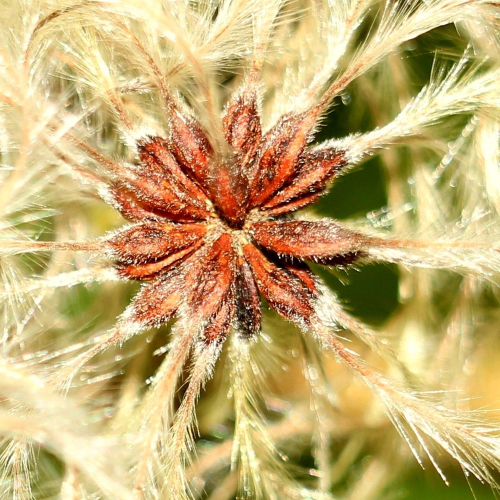 Herbstspaziergang