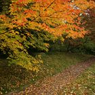 Herbstspaziergang