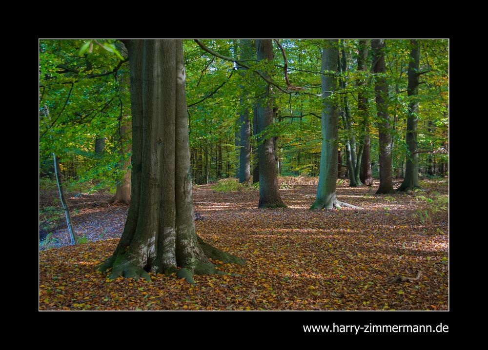 Herbstspaziergang