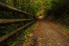 Herbstspaziergang