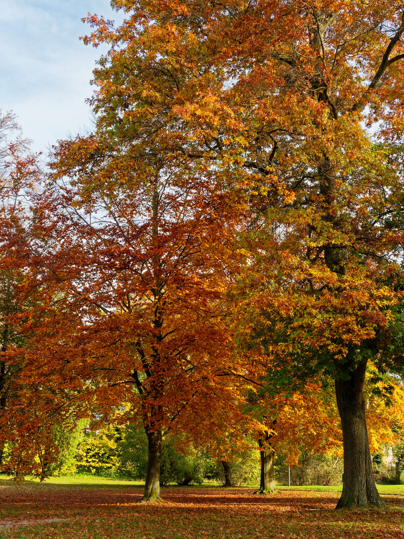 Herbstspaziergang