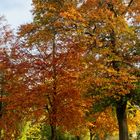 Herbstspaziergang