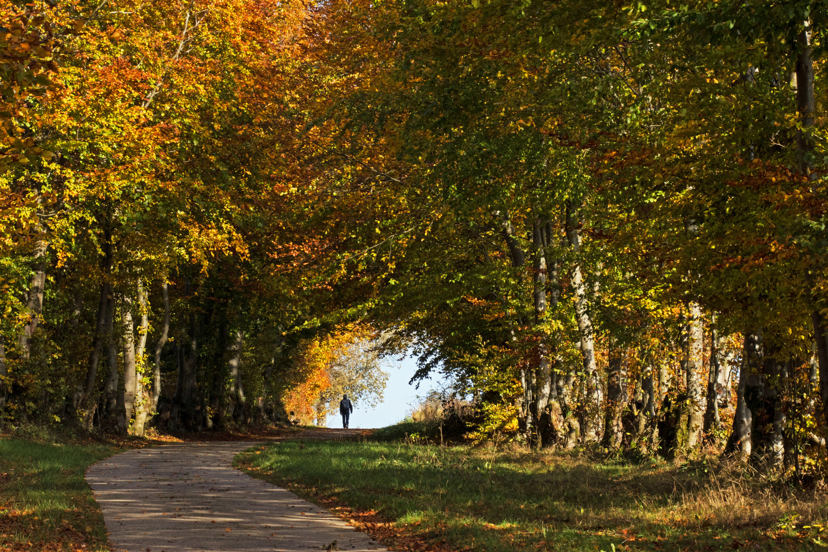 Herbstspaziergang