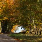 Herbstspaziergang