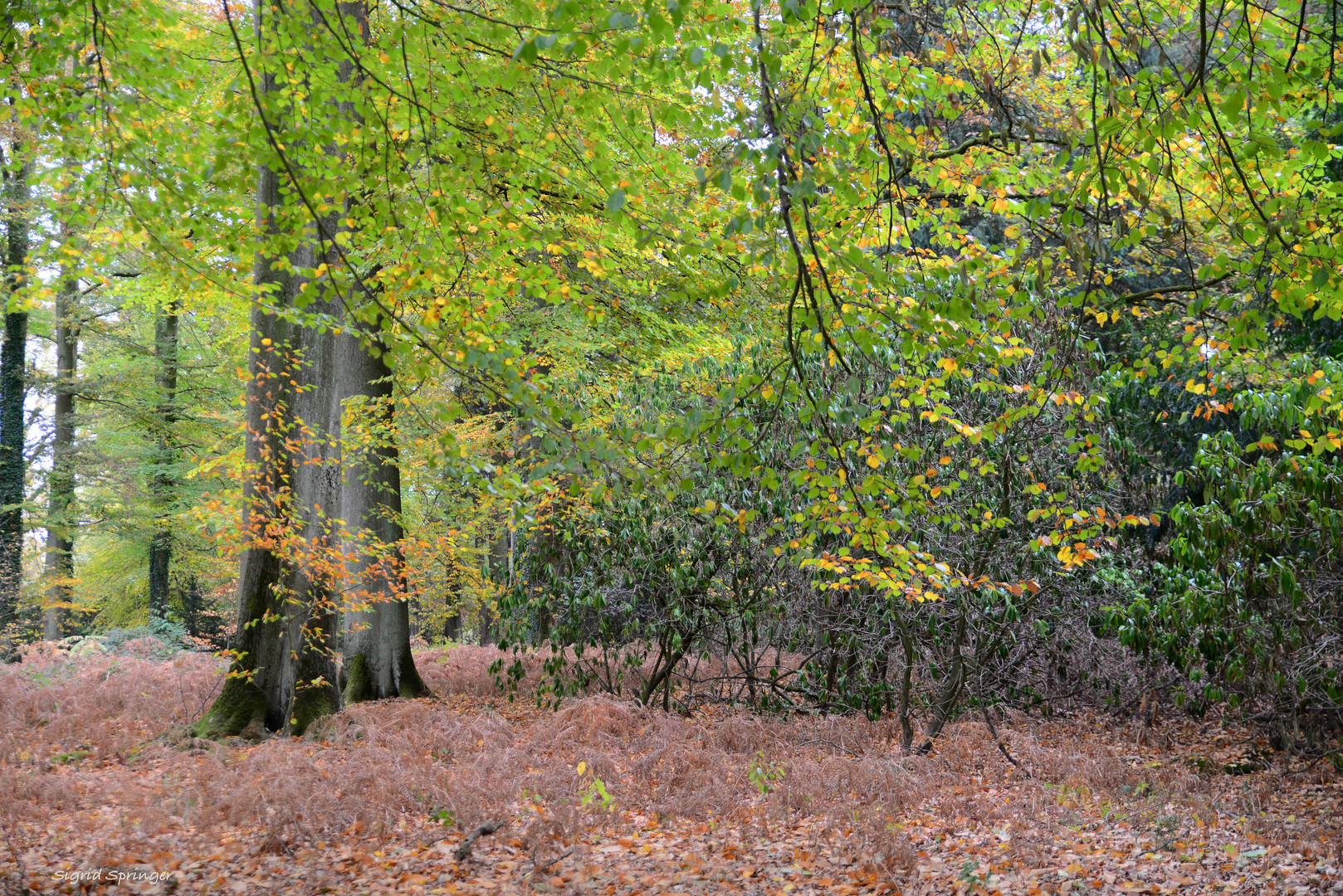 Herbstspaziergang