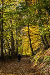 Herbstspaziergang