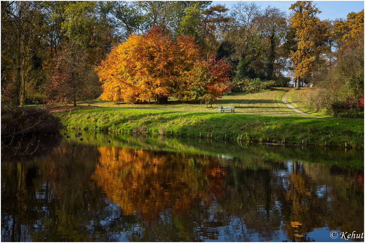 Herbstspaziergang (8) Bunter Herbst ... ade