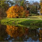 Herbstspaziergang (8) Bunter Herbst ... ade