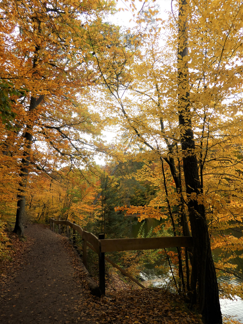 Herbstspaziergang