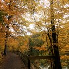 Herbstspaziergang