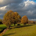 Herbstspaziergang