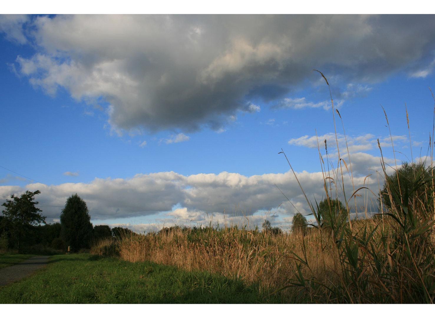 Herbstspaziergang