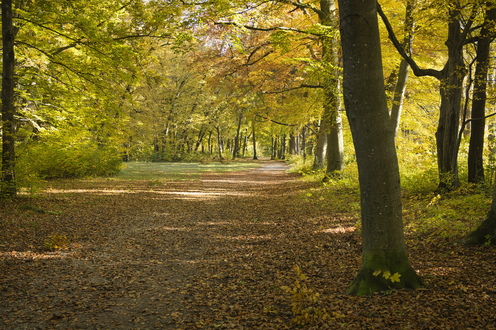 Herbstspaziergang