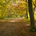 Herbstspaziergang