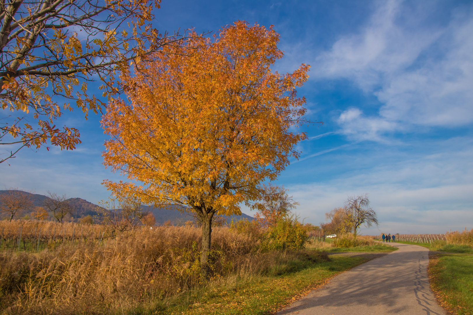 Herbstspaziergang