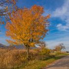 Herbstspaziergang